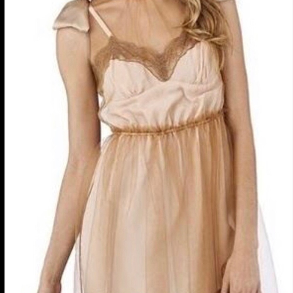 Gorgeous Victorian, vintage style dress.